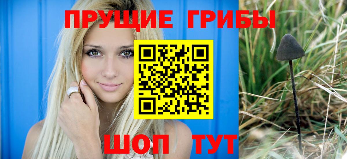 наркотики  Вход с VPN  Зеленодольск  Галлюциногенные грибы Psilocybe 