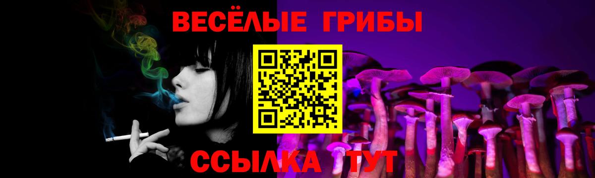 Псилоцибиновые грибы Psilocybine cubensis Зеленодольск